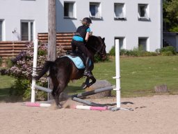 2014 Kursus med Tina Lund